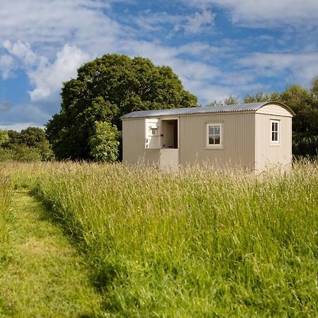Romantic Secluded Shepherd Hut Hares Rest Southwick  المظهر الخارجي الصورة