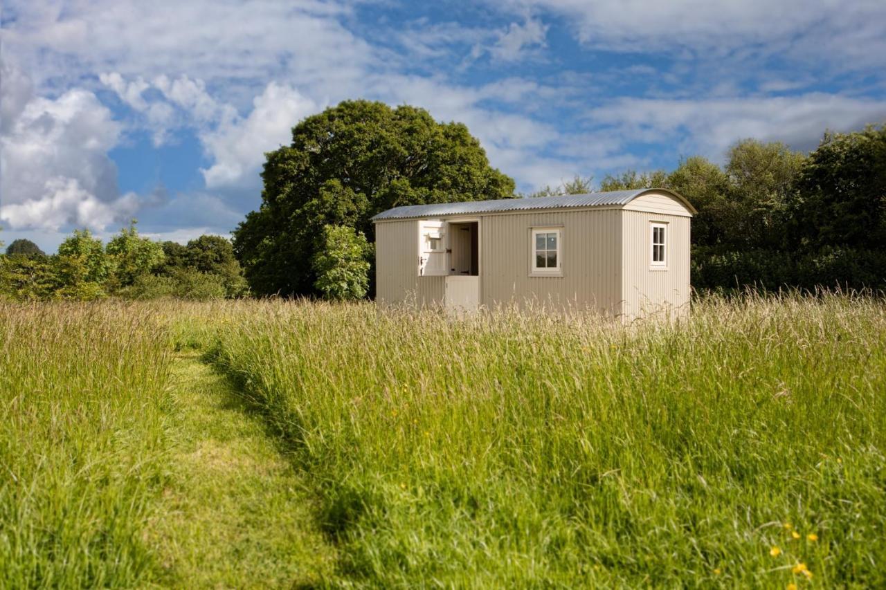 Romantic Secluded Shepherd Hut Hares Rest Southwick  المظهر الخارجي الصورة