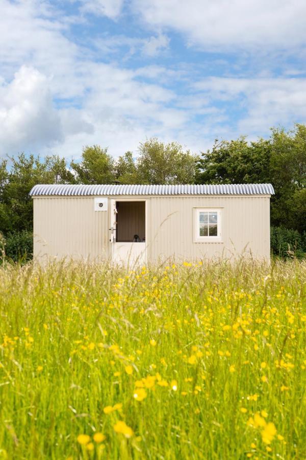 Romantic Secluded Shepherd Hut Hares Rest Southwick  المظهر الخارجي الصورة